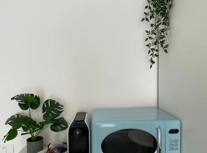 公寓 Seaside Mamaia Nord 那沃达利